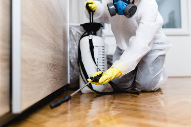 Best Pest Control Near Me  in Wellington, KS
