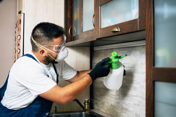 Best Rat Extermination Near Me  in Wellington, KS