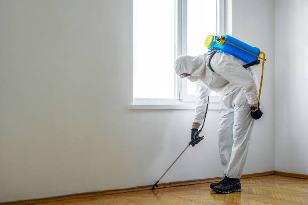 Best Flea Control Services  in Wellington, KS