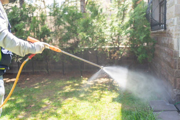 Best Affordable Pest Control Services  in Wellington, KS